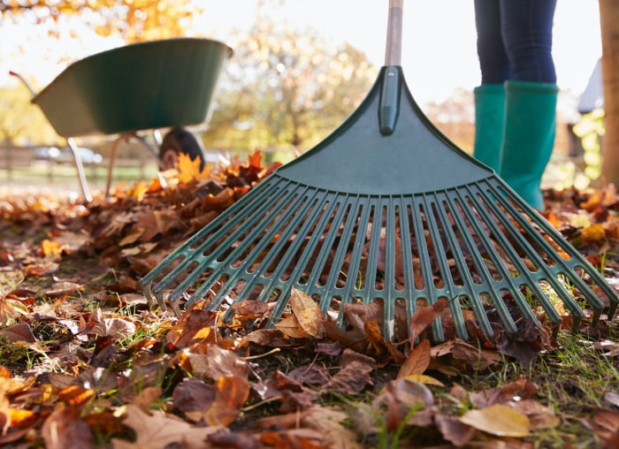 15 astuces à connaître si vous détestez les travaux de jardinage d'automne