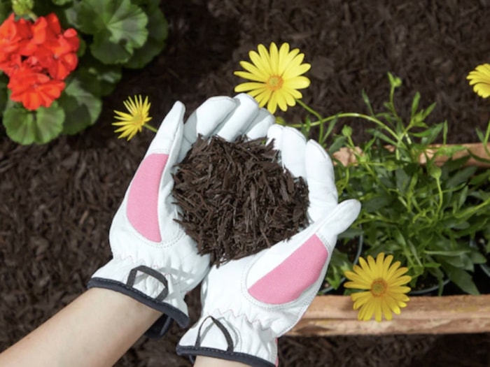 Les soldes SpringFest de Lowe's offrent des aubaines incroyables sur le paillis, l'entretien de la pelouse et plus encore.