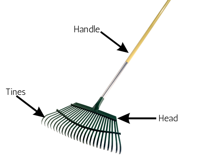 Diagramme des parties étiquetées d'un râteau (manche, tête, dents)