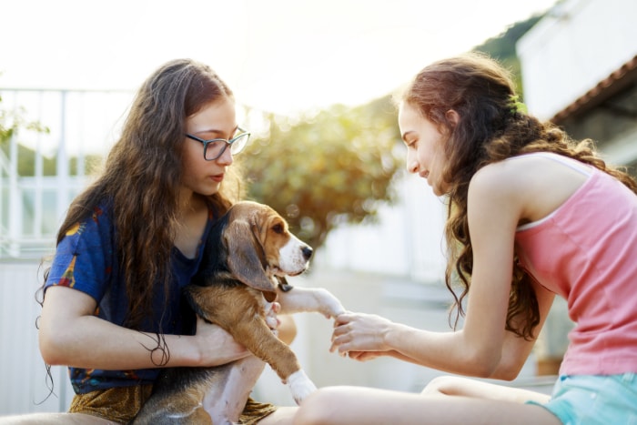 une adolescente tient son chien beagle pendant que sa sœur lui nettoie les pattes à l'extérieur