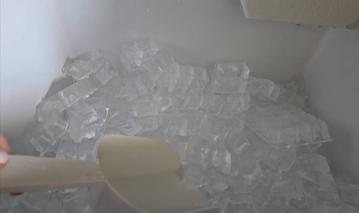 Une personne recueille de la glace dans une machine à glaçons commerciale à l'aide d'une pelle à main en plastique.