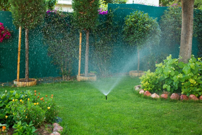 Arrosage automatique par arrosage dans le jardin.