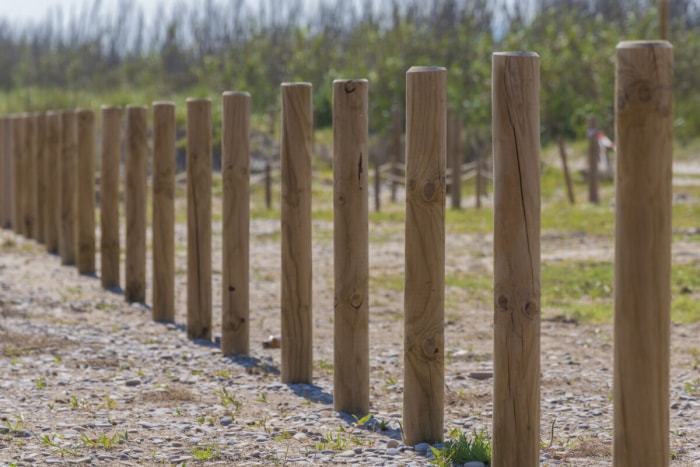 utilisations du bois pour l'abattage d'arbres