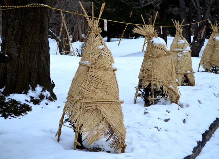 11 erreurs que les propriétaires commettent chaque hiver