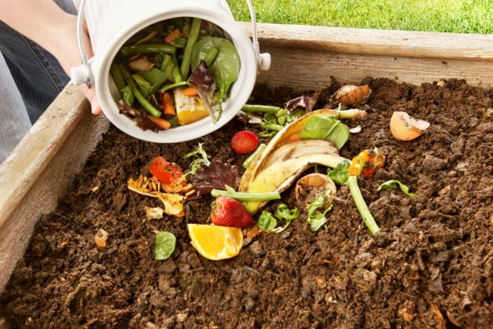 Jeter les déchets de cuisine dans un lit de jardin