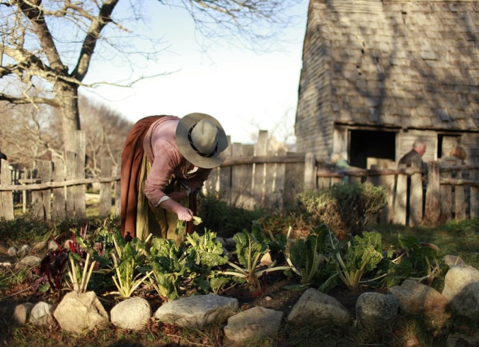 À quoi ressemblait l'intérieur des maisons des pèlerins