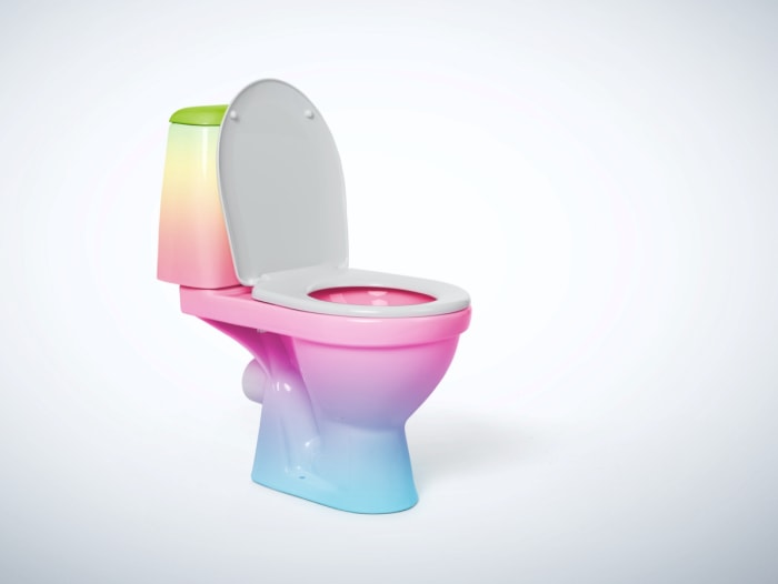 types de toilettes - toilettes multicolores