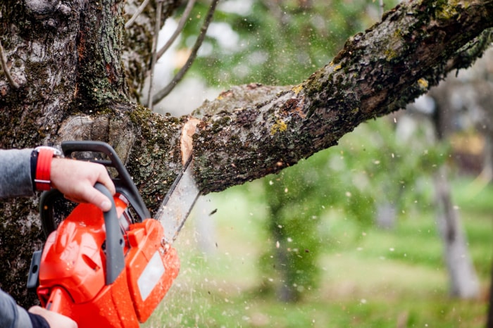 14 façons de sécuriser votre jardin pour les enfants