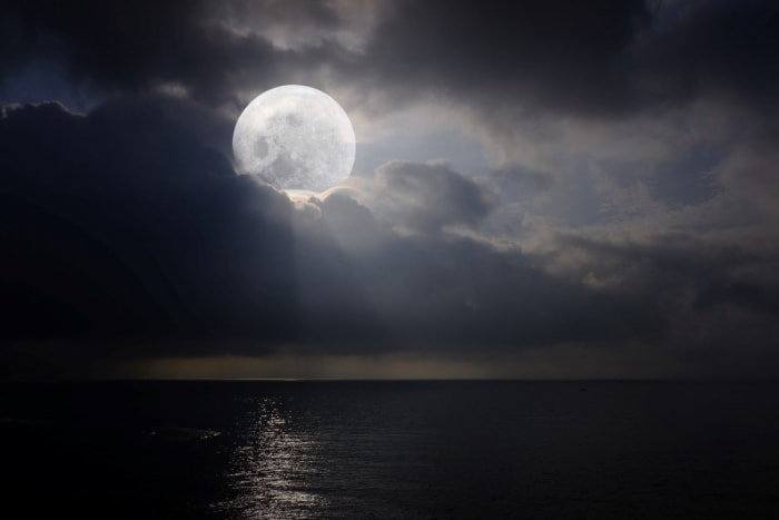 12 façons de prédire le temps en observant la nature dans votre jardin - clear moon at sea