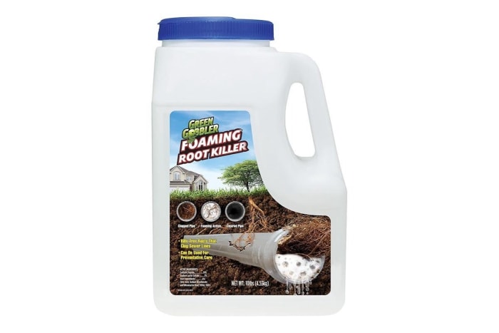 Les meilleurs produits achetés par nos lecteurs en février Option Green Gobbler Foaming Root Killer