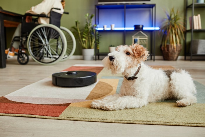 iStock-1387261982 robot aspirateur d'entretien d'appareils électroménagers à côté d'un chien