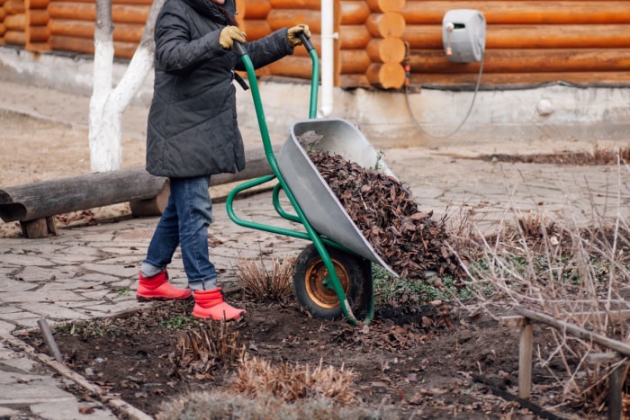 Femme utilisant une brouette pour transporter des feuilles dans le jardin