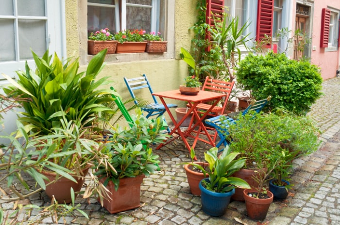 jardin de poche-chaises-et-table-multicolores-avec-une-collection-de-plantes-en-pot-devant-la-fenêtre-du-bâtiment