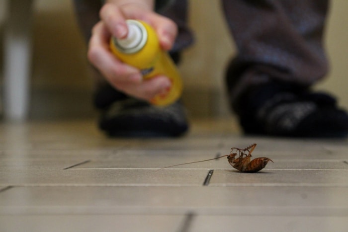 comment se débarrasser des cafards - spray