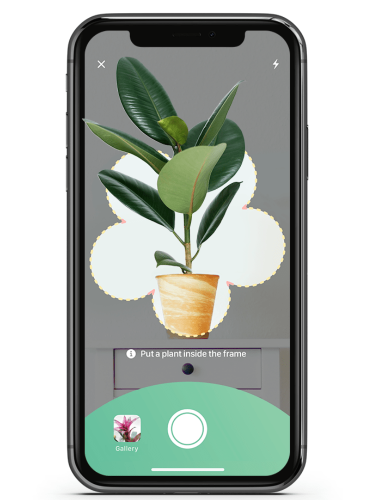 Les meilleures applications de jardinage et d'identification des plantes pour votre smartphone