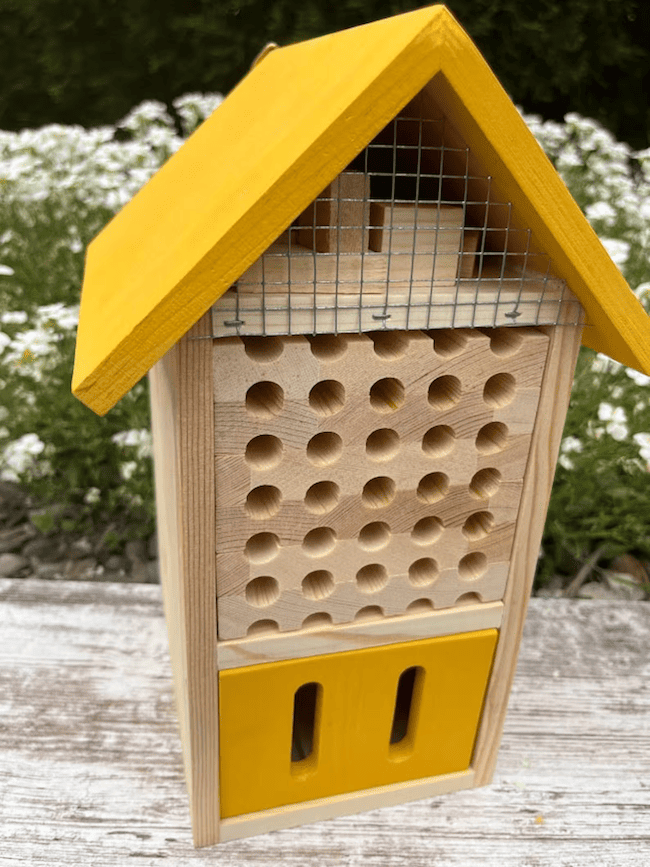 Grand-Pollinator-Hotel-avec-un-toit-jaune-assis-sur-un-banc-de-bois-au-devant-de-l'herbe-à-silence