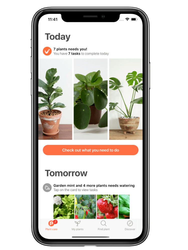 Les meilleures applications de jardinage et d'identification des plantes pour votre smartphone