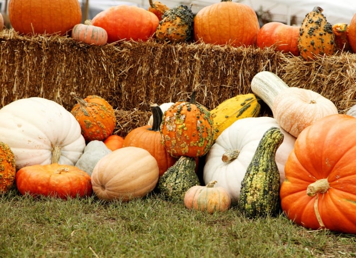 9 façons de décorer avec des citrouilles, à l'intérieur comme à l'extérieur