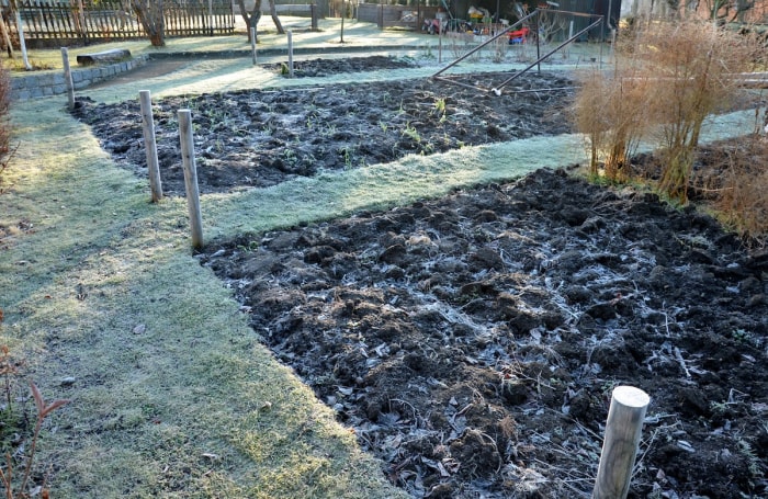 Un grand jardin d'arrière-cour avec du givre recouvrant le sol.