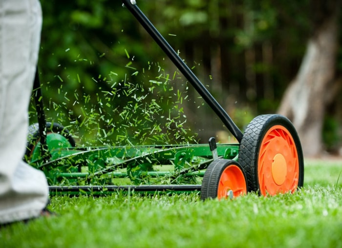 12 façons d’être un bon voisin pour la faune de votre jardin