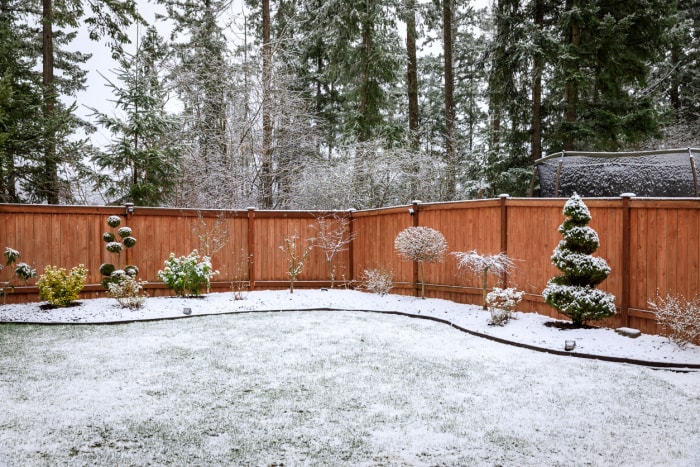 10 choses que tout nouveau jardinier devrait savoir sur l'arrière-cour recouverte de neige en hiver