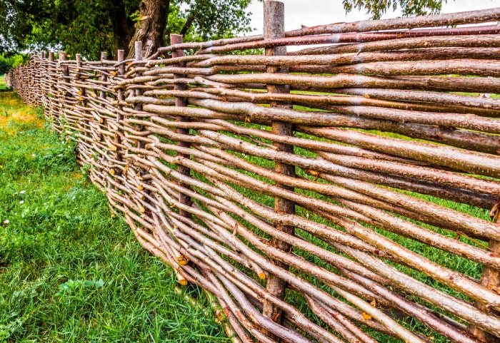 Une clôture faite de branches tressées.