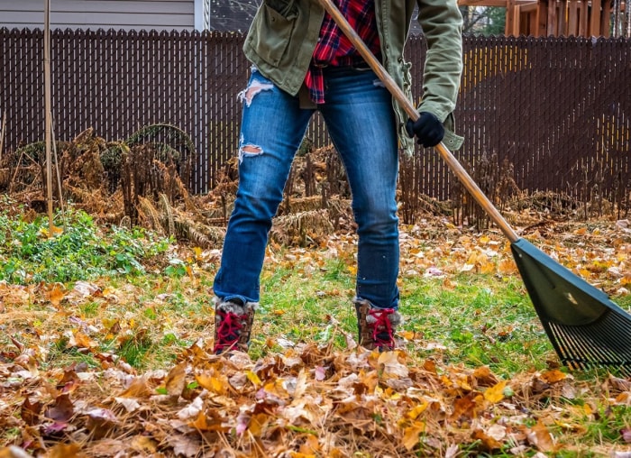 Les choses à faire et à ne pas faire pour nettoyer les feuilles