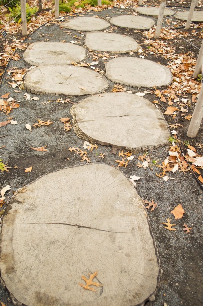 Le bon chemin : 15 superbes modèles de passerelles