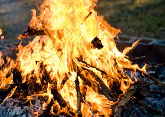 Gros plan d'un feu de joie qui brûle