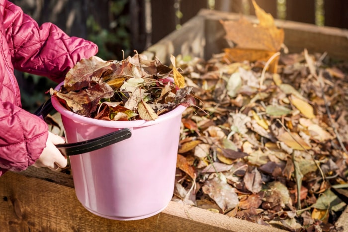 Personne déposant des feuilles mortes dans un lit de jardin