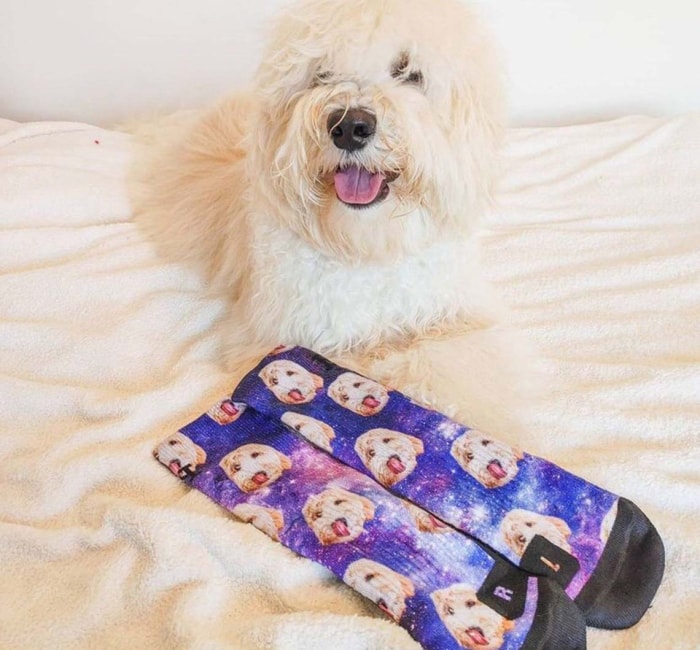 Option chaussettes personnalisées pour chien