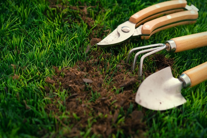 vue rapprochée de la truelle et d'autres petits outils de jardin sur l'herbe avec de la terre