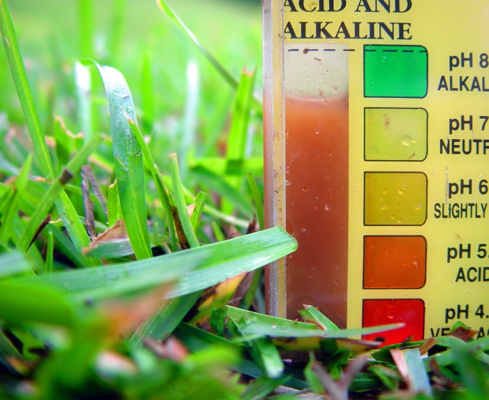 kit d'analyse de sol pour pelouse avec bande colorée pour le pH, posé au milieu des brins d'herbe