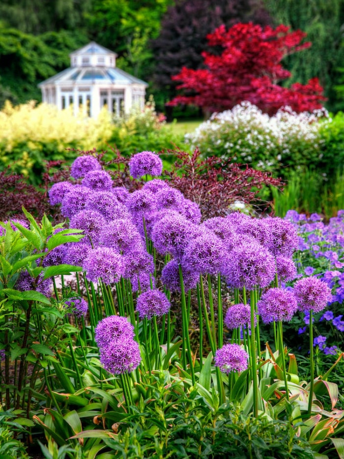 39 plantes que vous allez adorer si vous détestez les travaux de jardinage d'automne