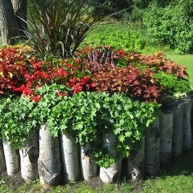 À la limite : 16 bordures de jardin à réaliser