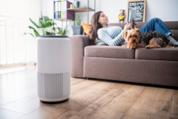 Le meilleur purificateur d'air pour les allergies