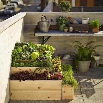 10 jardins sur les toits qui propulsent le jardinage vers de nouveaux sommets