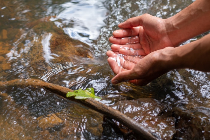 vue rapprochée des mains tirant de l'eau d'un ruisseau d'eau douce