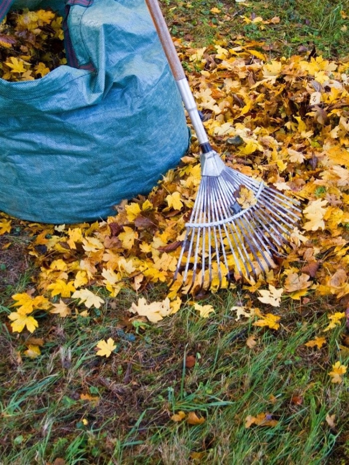 12 façons d’être un bon voisin pour la faune de votre jardin