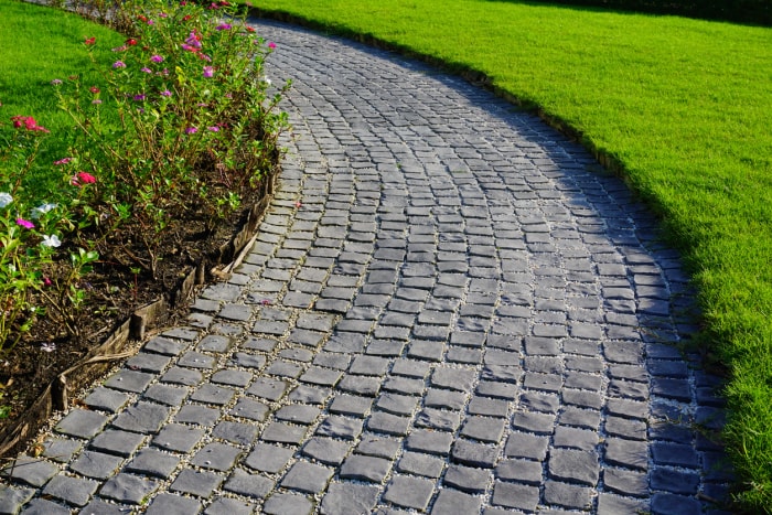 chemin en pavés dans un paysage domestique