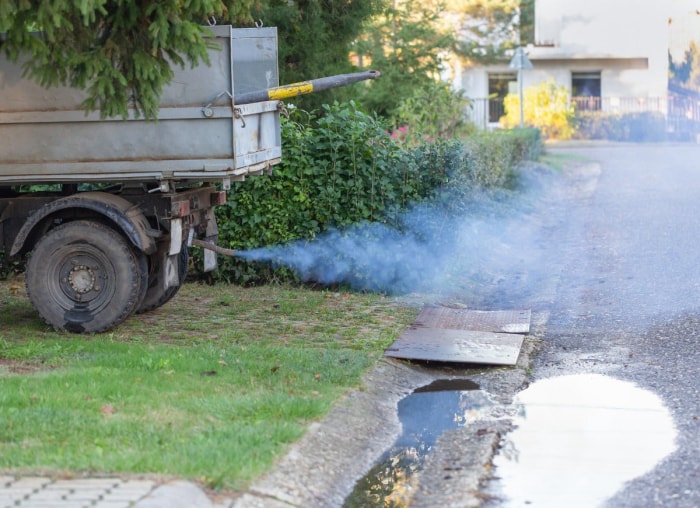 Syndrome de la maison malsaine : 11 façons dont votre maison peut vous rendre malade