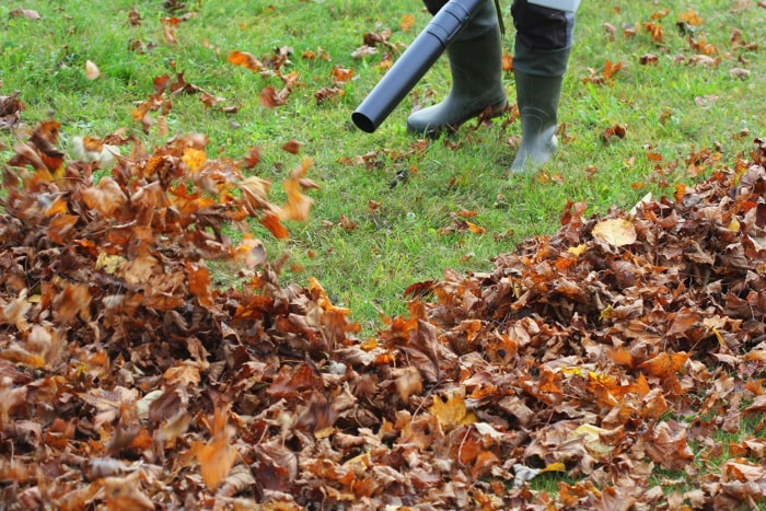 Une personne portant des bottes hautes soufflant des feuilles dans une cour à l'aide du meilleur souffleur de feuilles à batterie.