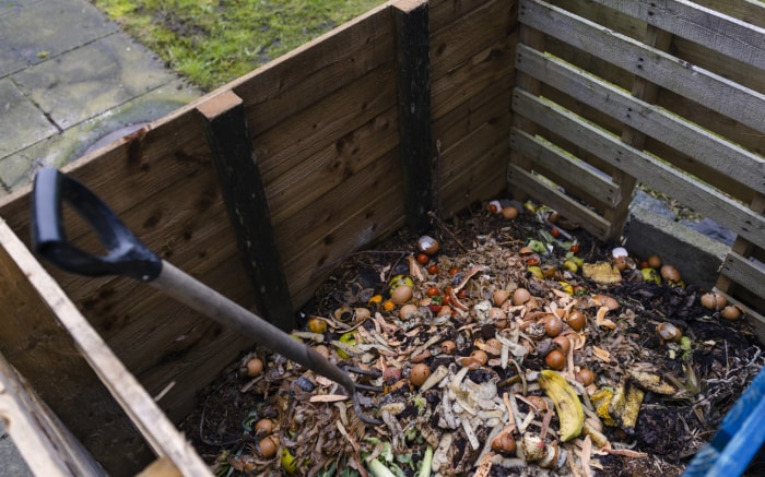 Coquilles d'œufs broyées dans un seau à compost avec d'autres déchets alimentaires.