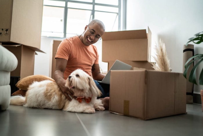 Les meilleures options d'assurance locataire pour les propriétaires d'animaux de compagnie