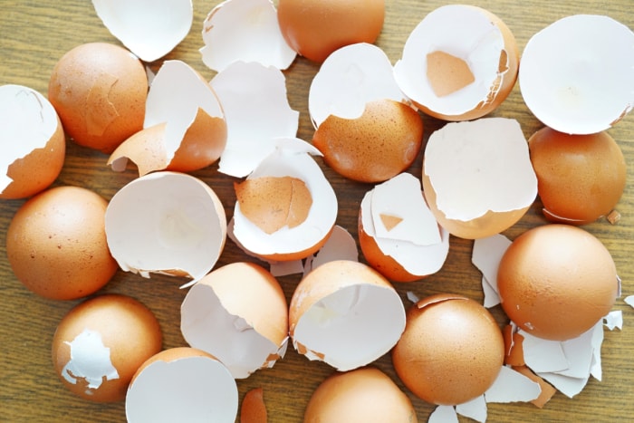 Plusieurs coquilles d'oeufs vides cassées sur une planche en bois.