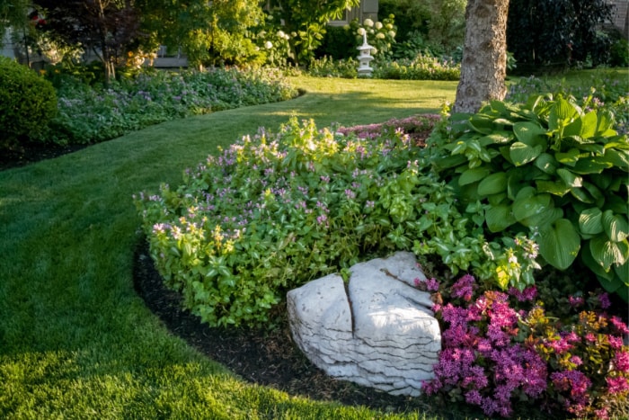 Un parterre de fleurs colorées au centre de plusieurs gros rochers comme aménagement paysager.