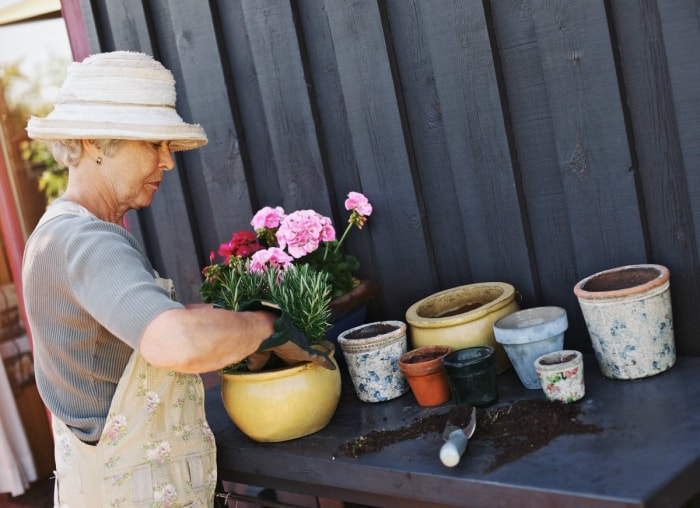 11 conseils de jardinage séculaires à ignorer complètement