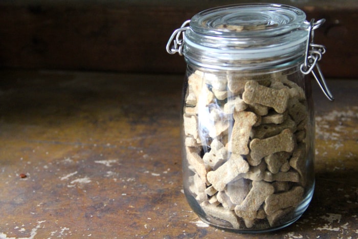 Il s'agit d'un pot Mason en verre rempli de biscuits pour chien posé sur une étagère en bois au soleil et décalé vers la droite.