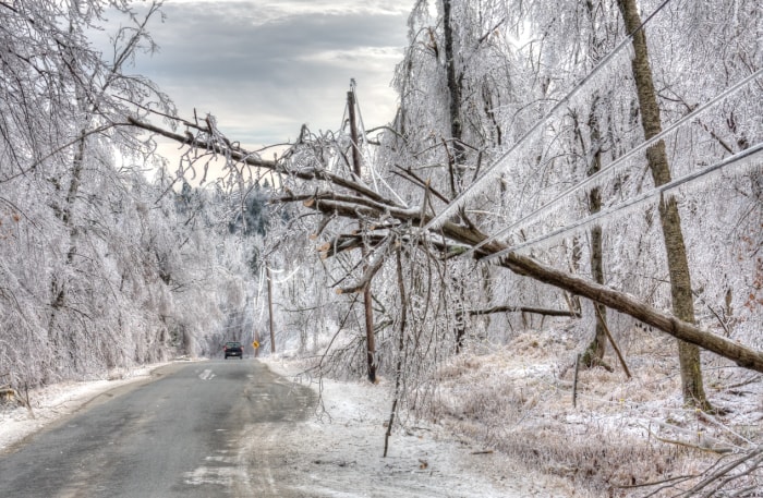 En raison de la tempête de verglas, un arbre fait tomber une ligne électrique au-dessus de la chaussée.