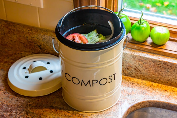 Un bac à compost sur un comptoir de cuisine en granit à côté d'un évier et d'une fenêtre avec de la laitue, des tomates et des oignons à l'intérieur